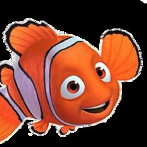 Meet your Posher, Jake